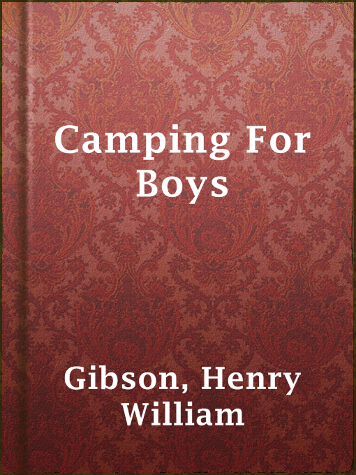Cover image for Camping For Boys